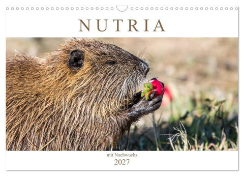NUTRIA mit Nachwuchs (Wandkalender 2027 DIN A3 quer), CALVENDO Monatskalender