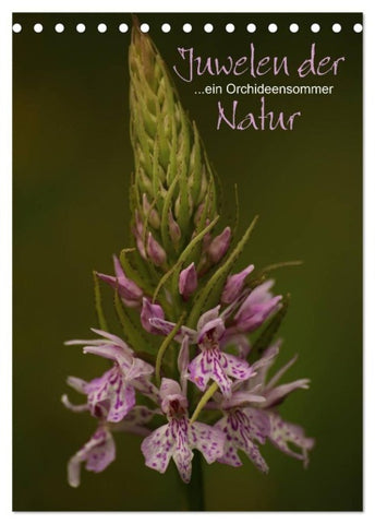 Juwelen der Natur - Ein Orchideensommer (Tischkalender 2027 DIN A5 hoch), CALVENDO Monatskalender