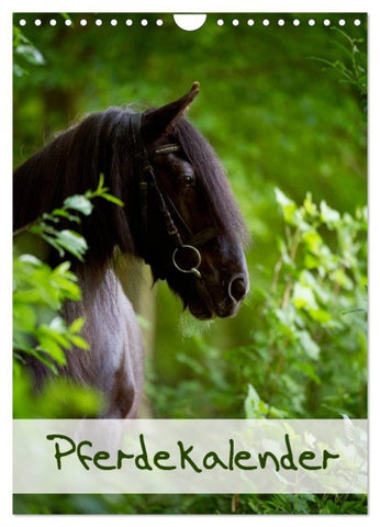 Pferdekalender (Wandkalender 2026 DIN A4 hoch), CALVENDO Monatskalender