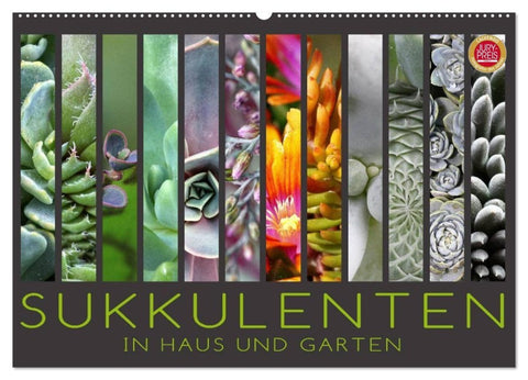 Sukkulenten in Haus und Garten (Wandkalender 2027 DIN A2 quer), CALVENDO Monatskalender