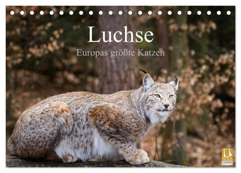 Luchse - Europas größte Katzen (Tischkalender 2027 DIN A5 quer), CALVENDO Monatskalender