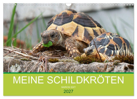 Meine Schildkröten (Wandkalender 2027 DIN A3 quer), CALVENDO Monatskalender