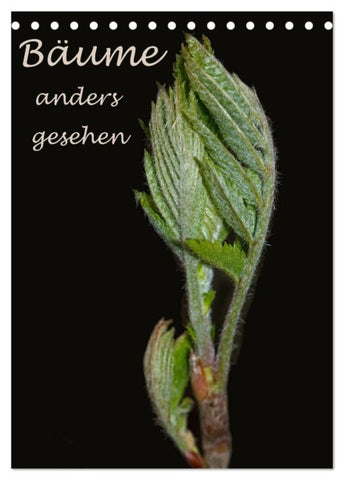 Bäume anders gesehen (Tischkalender 2027 DIN A5 hoch), CALVENDO Monatskalender