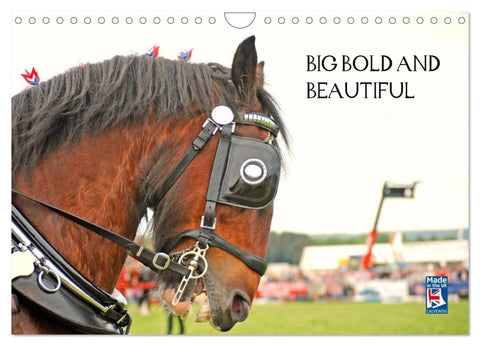 BIG BOLD AND BEAUTIFUL (Wall Calendar 2026 DIN A4 landscape), CALVENDO 12 Month Wall Calendar