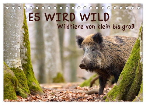 ES WIRD WILD Wildtiere von klein bis groß (Tischkalender 2027 DIN A5 quer), CALVENDO Monatskalender