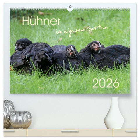Hühner im eigenen Garten (hochwertiger Premium Wandkalender 2026 DIN A2 quer), Kunstdruck in Hochglanz