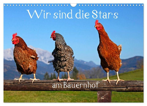 Wir sind die Stars am Bauernhof (Wandkalender 2027 DIN A3 quer), CALVENDO Monatskalender