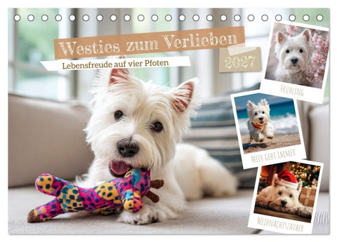 Westies zum Verlieben (Tischkalender 2027 DIN A5 quer), CALVENDO Monatskalender
