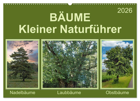 Bäume Kleiner Naturführer (Wandkalender 2026 DIN A2 quer), CALVENDO Monatskalender