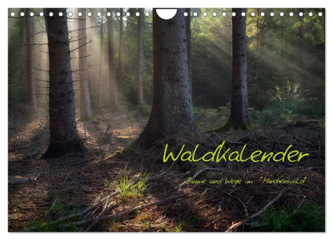 Waldkalender (Wandkalender 2026 DIN A4 quer), CALVENDO Monatskalender
