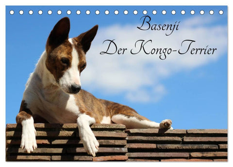 Basenji, der Kongo-Terrier (Tischkalender 2026 DIN A5 quer), CALVENDO Monatskalender