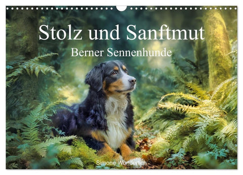 Stolz und Sanftmut - Berner Sennenhunde (Wandkalender 2027 DIN A3 quer), CALVENDO Monatskalender
