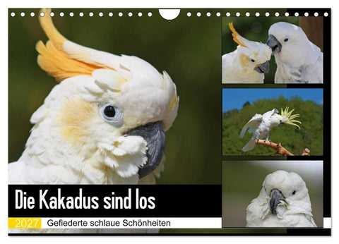 Die Kakadus sind los (Wandkalender 2027 DIN A4 quer), CALVENDO Monatskalender
