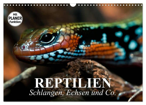 Reptilien. Schlangen, Echsen und Co. (Wandkalender 2027 DIN A3 quer), CALVENDO Monatskalender