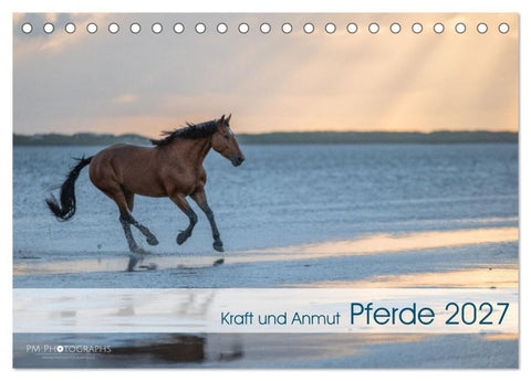 Pferde 2027 Kraft und Anmut (Tischkalender 2027 DIN A5 quer), CALVENDO Monatskalender