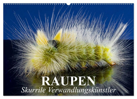 Raupen - Skurrile Verwandlungskünstler (Wandkalender 2026 DIN A2 quer), CALVENDO Monatskalender