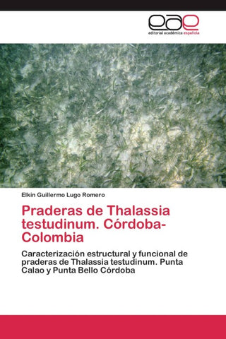 Praderas de Thalassia testudinum. Córdoba-Colombia