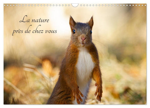 La nature près de chez vous (Calendrier mural 2027 DIN A3 vertical), CALVENDO calendrier mensuel