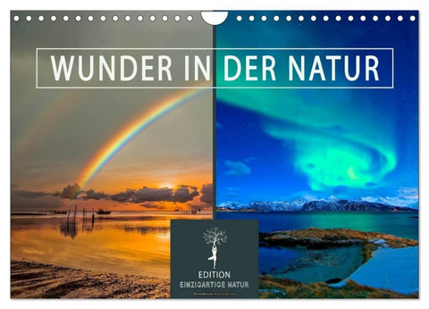 Wunder in der Natur (Wandkalender 2027 DIN A4 quer), CALVENDO Monatskalender