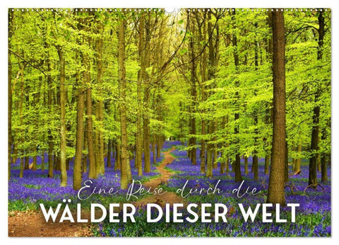 Eine Reise durch die Wälder dieser Welt (Wandkalender 2027 DIN A2 quer), CALVENDO Monatskalender