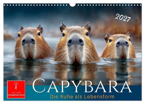 Capybara - die Ruhe als Lebensform (Wandkalender 2027 DIN A3 quer), CALVENDO Monatskalender