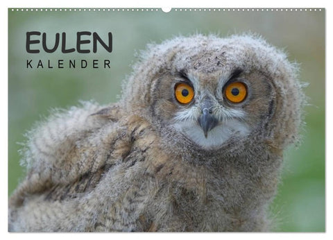 Eulen-Kalender (Wandkalender 2027 DIN A2 quer), CALVENDO Monatskalender