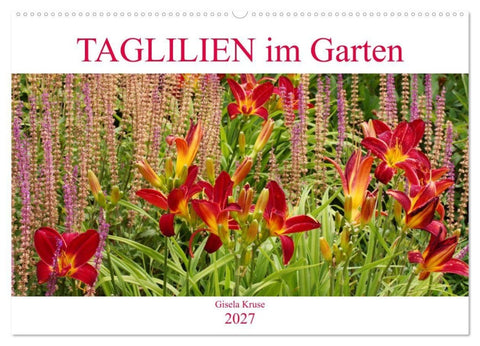 Taglilien im Garten (Wandkalender 2027 DIN A2 quer), CALVENDO Monatskalender