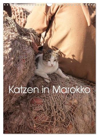 Katzen in Marokko (Wandkalender 2027 DIN A3 hoch), CALVENDO Monatskalender