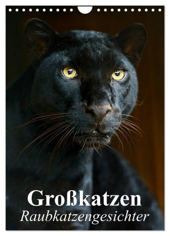 Großkatzen. Raubkatzengesichter (Wandkalender 2027 DIN A4 hoch), CALVENDO Monatskalender
