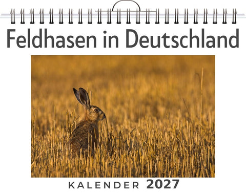 Feldhasen in Deutschland