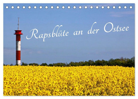 Rapsblüte an der Ostsee (Tischkalender 2027 DIN A5 quer), CALVENDO Monatskalender