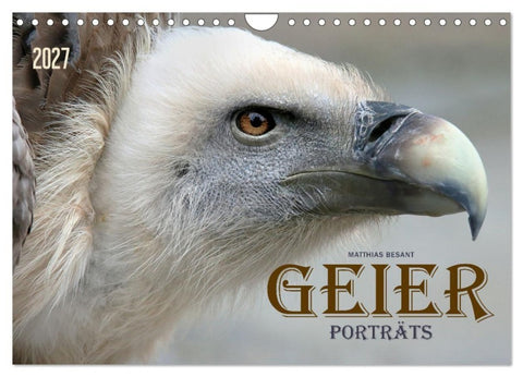 GEIERPORTRÄTS (Wandkalender 2027 DIN A4 quer), CALVENDO Monatskalender