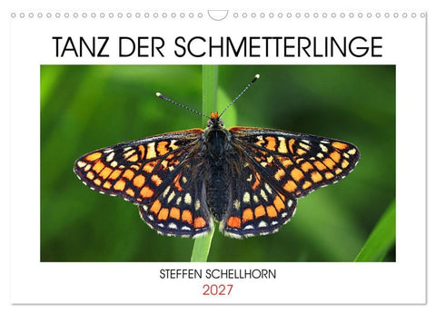 TANZ DER SCHMETTERLINGE (Wandkalender 2027 DIN A3 quer), CALVENDO Monatskalender