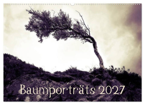Baumporträts 2027 (Wandkalender 2027 DIN A2 quer), CALVENDO Monatskalender