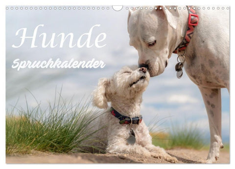 Hunde Spruchkalender (Wandkalender 2027 DIN A3 quer), CALVENDO Monatskalender