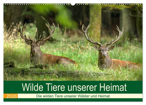 Wilde Tiere unserer Heimat (Wandkalender 2026 DIN A2 quer), CALVENDO Monatskalender