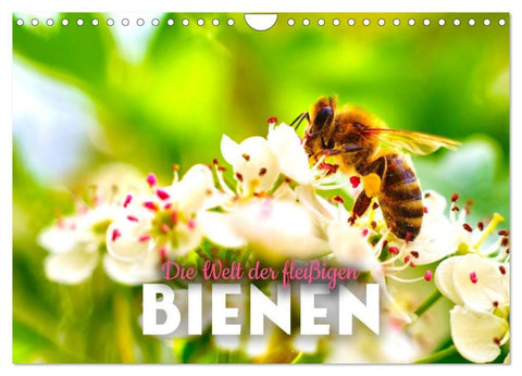 Die Welt der fleißigen Bienen (Wandkalender 2027 DIN A4 quer), CALVENDO Monatskalender