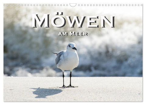 Möwen am Meer (Wandkalender 2026 DIN A3 quer), CALVENDO Monatskalender