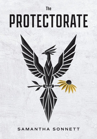 The Protectorate