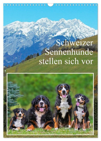 Schweizer Sennenhunde stellen sich vor (Wandkalender 2027 DIN A3 hoch), CALVENDO Monatskalender