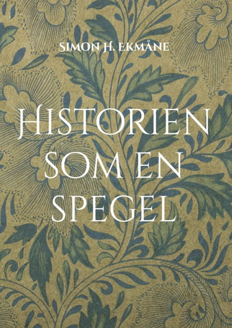 Historien som en spegel