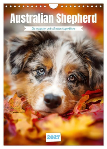 Australian Shepherd (Wandkalender 2027 DIN A4 hoch), CALVENDO Monatskalender