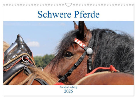 Schwere Pferde 2026 (Wandkalender 2026 DIN A3 quer), CALVENDO Monatskalender