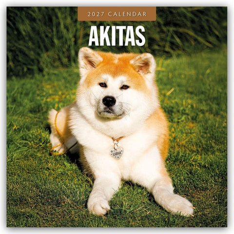 Akitas – Akita 2027 – 16-Monatskalender