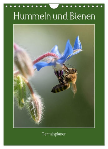 Hummeln und Bienen Terminplaner (Wandkalender 2026 DIN A4 hoch), CALVENDO Monatskalender