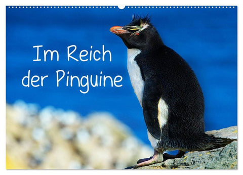 Im Reich der Pinguine (Wandkalender 2026 DIN A2 quer), CALVENDO Monatskalender