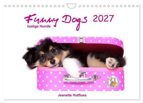 Funny Dogs (Wandkalender 2027 DIN A4 quer), CALVENDO Monatskalender