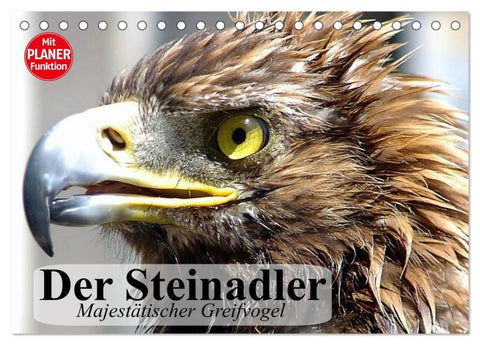 Der Steinadler. Majestätischer Greifvogel (Tischkalender 2026 DIN A5 quer), CALVENDO Monatskalender