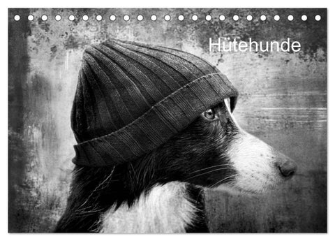 Hütehunde (Tischkalender 2027 DIN A5 quer), CALVENDO Monatskalender