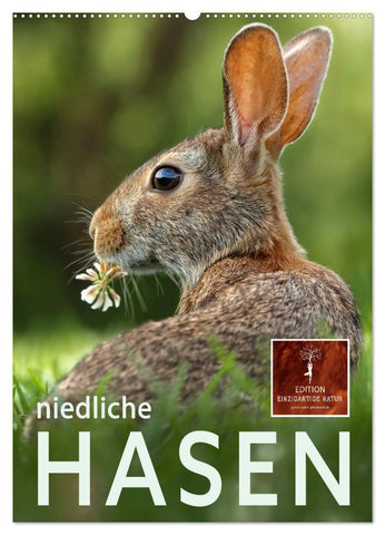 Niedliche Hasen (Wandkalender 2027 DIN A2 hoch), CALVENDO Monatskalender